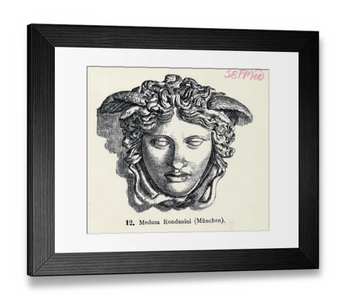 Framed Print : Illustration of Head of Medusa Framed Print : Illustration of Head of Medusa