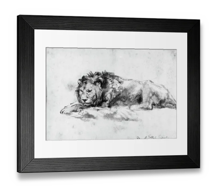 Framed Print : Study Of A Lion By Rembrandt Van Rijn Framed Print : Study Of A Lion By Rembrandt Van Rijn