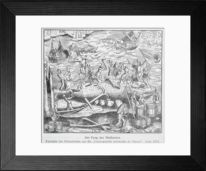Framed Print : Der Fang des Walfisches. Illustration Framed Print : Der Fang des Walfisches. Illustration