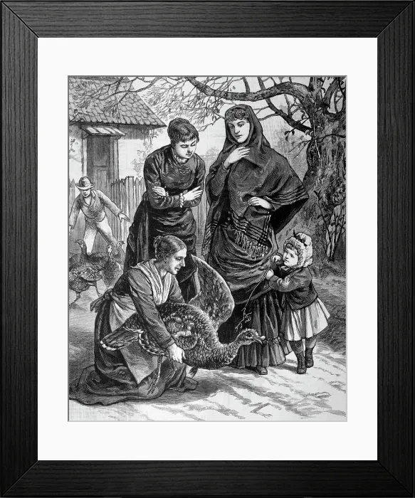 Framed Print : Women Selecting The Thanksgiving Turkey Framed Print : Women Selecting The Thanksgiving Turkey