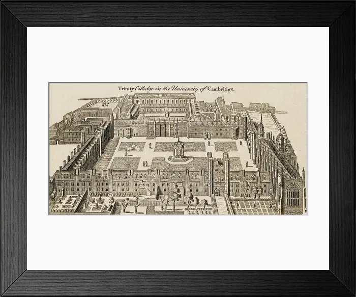 Framed Print : Illustration of Trinity College Framed Print : Illustration of Trinity College