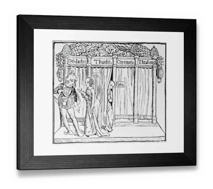 Framed Print : Medieval Stage