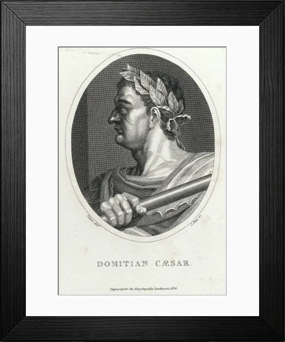 Framed Print : Emperor Domitian Emperor Of Rome Framed Print : Emperor Domitian Emperor Of Rome