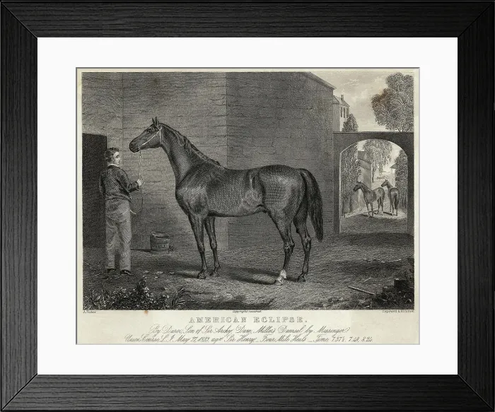 Framed Print : Illustration Of American Eclipse Framed Print : Illustration Of American Eclipse