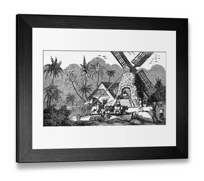 Framed Print : Illustration of Early Workers at West Indies Sugar Mill Framed Print : Illustration of Early Workers at West Indies Sugar Mill