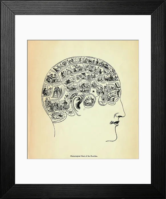 Framed Print : Phrenological Chart of The Human Faculties Framed Print : Phrenological Chart of The Human Faculties