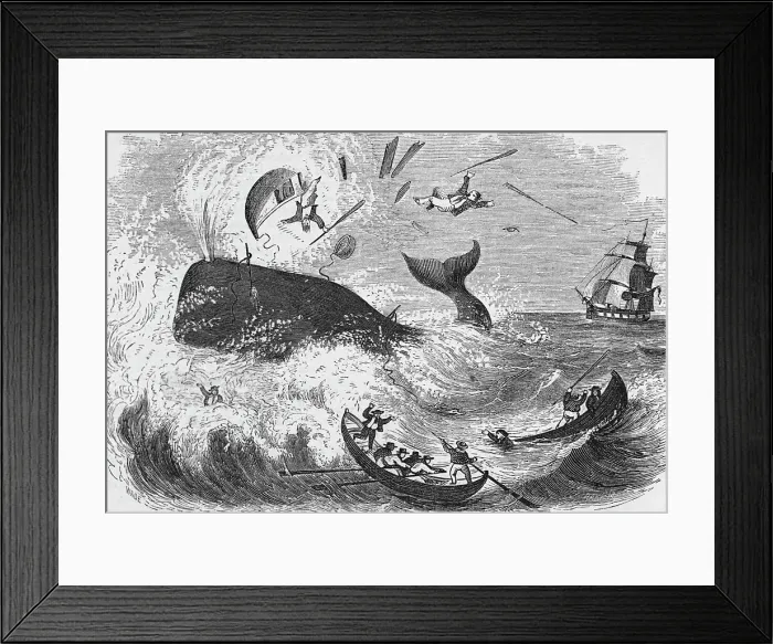 Framed Print : Whaling, The Flurry, Woodcut