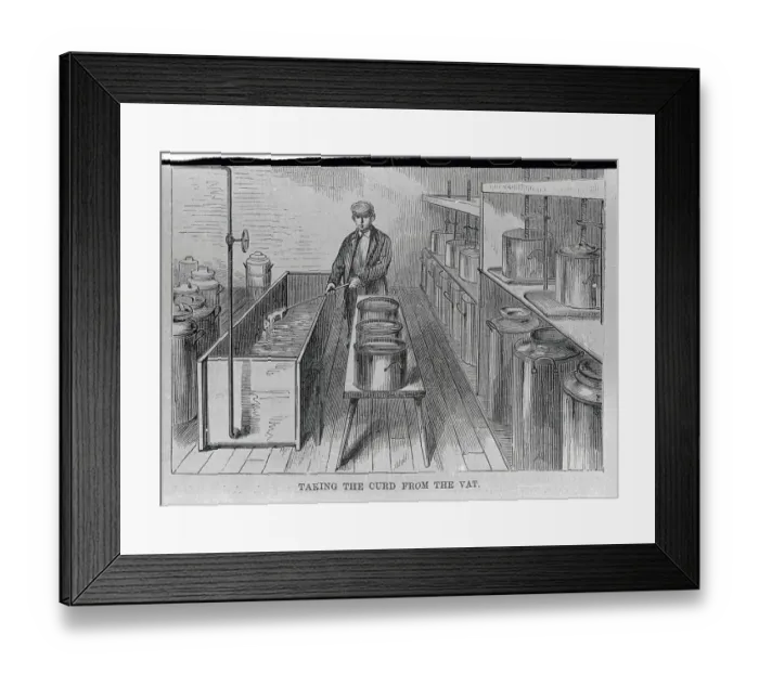 Framed Print : Milk Curdling Vat Being Used Framed Print : Milk Curdling Vat Being Used
