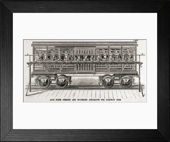 Framed Print : Crose Section Of Live Stock Railway Car Framed Print : Crose Section Of Live Stock Railway Car