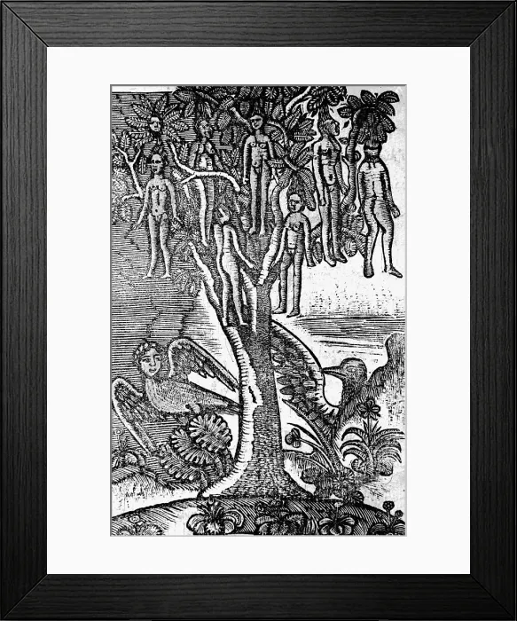 Framed Print : Illus Of Wak Wak Tree W / Human Fruit Framed Print : Illus Of Wak Wak Tree W / Human Fruit