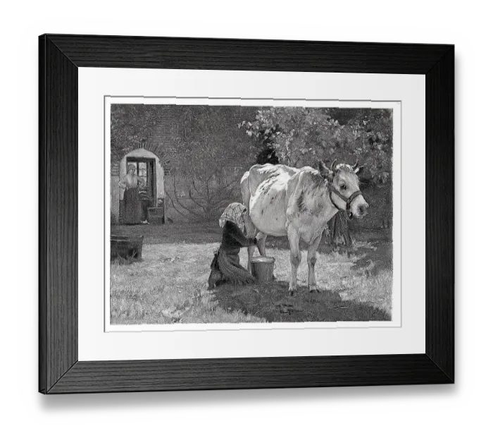 Framed Print : Maid Milking White Cow Framed Print : Maid Milking White Cow