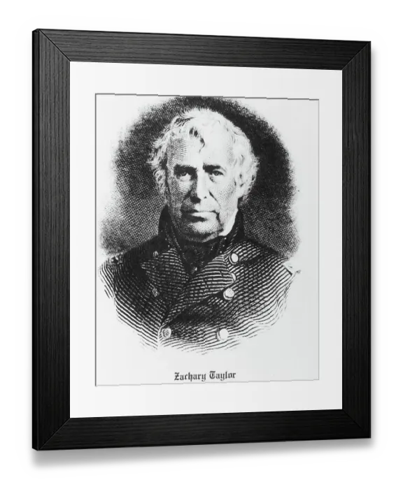 Framed Print : Bust Illustration Of Zachary Taylor Framed Print : Bust Illustration Of Zachary Taylor
