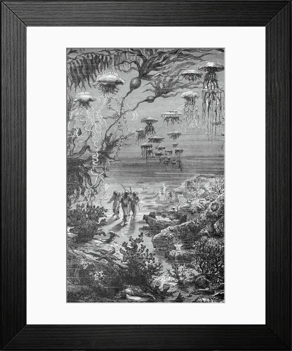 Framed Print : 20, 000 Leagues Under Sea Illustration Framed Print : 20, 000 Leagues Under Sea Illustration