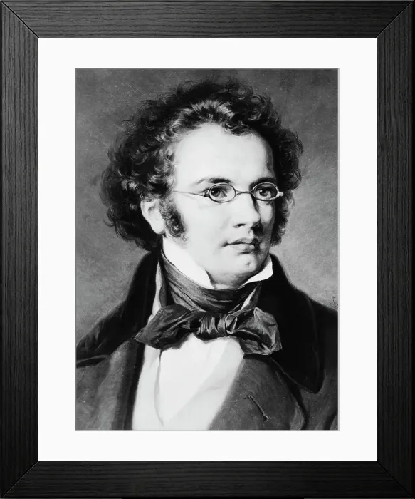 Framed Print : Head / Shoulders Portrait Franz Schubert Framed Print : Head / Shoulders Portrait Franz Schubert