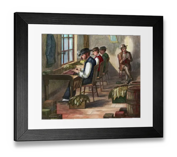 Framed Print : Men Hand Roll Cigars in Workshop Framed Print : Men Hand Roll Cigars in Workshop