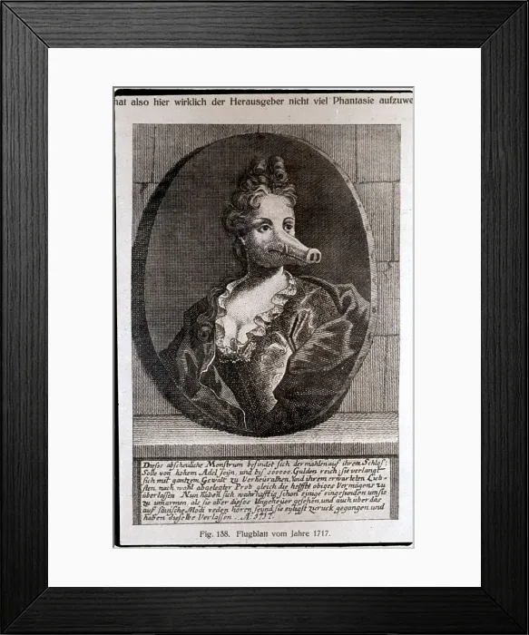 Framed Print : Woman with Boarlike Snout Framed Print : Woman with Boarlike Snout