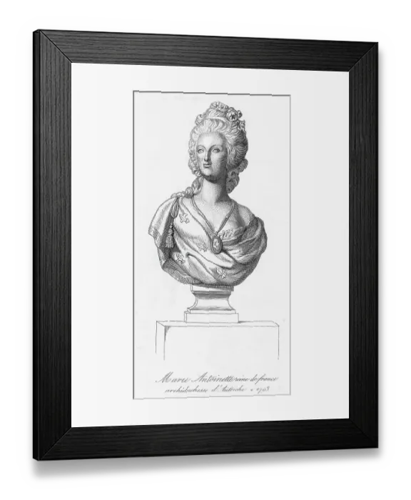 Framed Print : Illustration Of Bust Of Marie Antoinette
