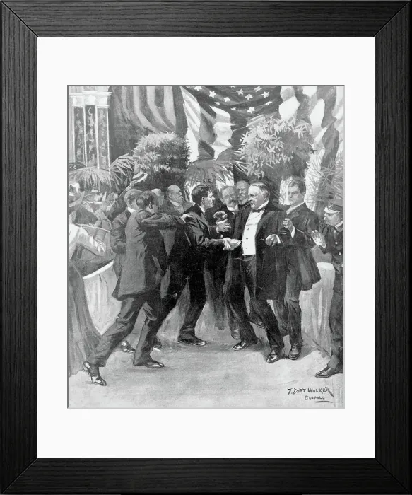 Framed Print : Assassination of President McKinley by T. Dart Walker