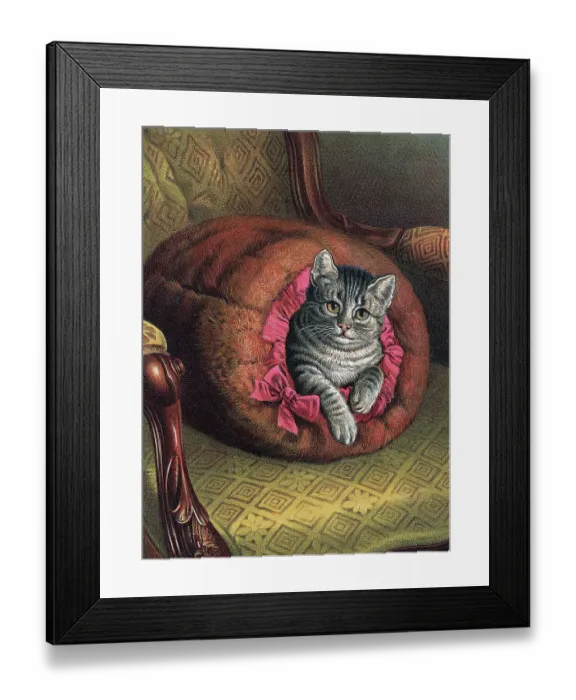 Framed Print : Illustration of a Cat In Lying In A Muff Framed Print : Illustration of a Cat In Lying In A Muff
