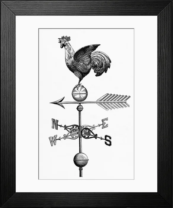 Framed Print : Rooster W / Outstretched Wings On Vane Framed Print : Rooster W / Outstretched Wings On Vane
