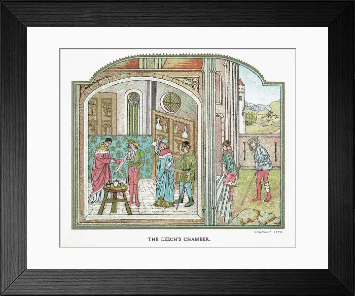 Framed Print : Print of the The Leech's Chamber Framed Print : Print of the The Leech's Chamber