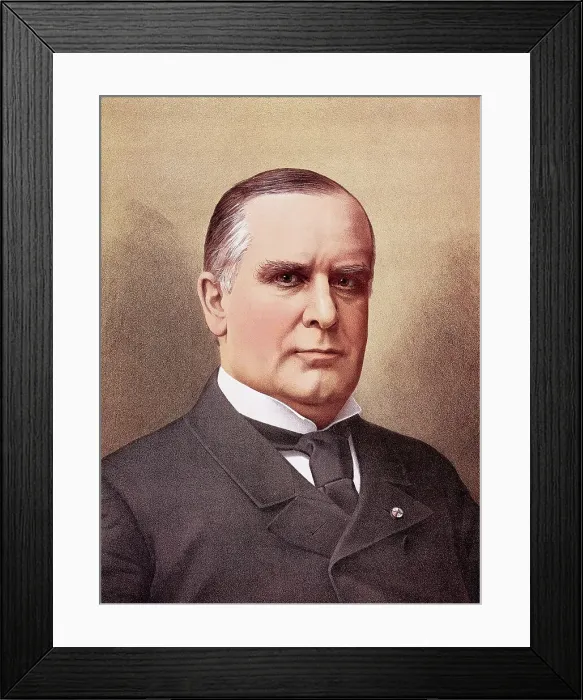 Framed Print : Illustrated Portrait Of William Mckinley Framed Print : Illustrated Portrait Of William Mckinley