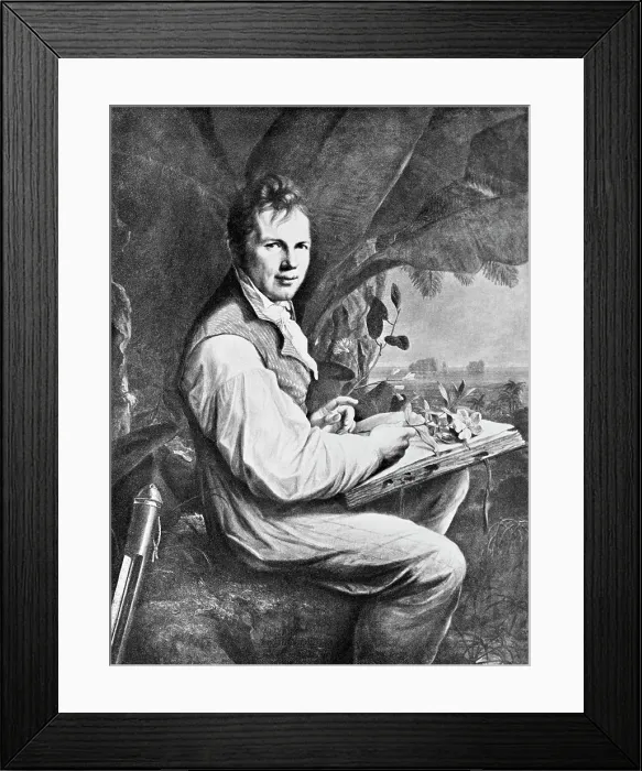 Framed Print : Alexander Von Humboldt Seated W / Plants Framed Print : Alexander Von Humboldt Seated W / Plants