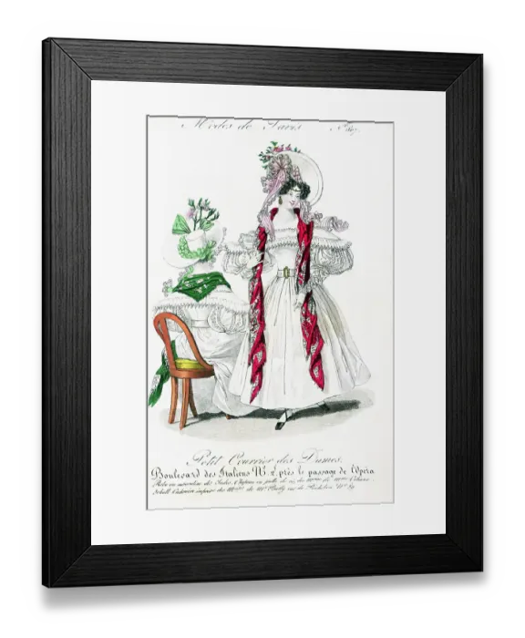 Framed Print : 19Th Century Formal Dress / Illustration Framed Print : 19Th Century Formal Dress / Illustration