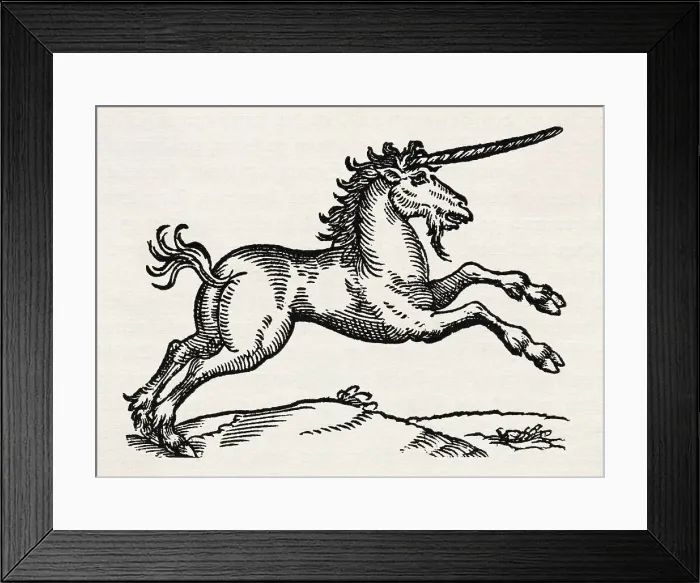 Framed Print : Illustration of a Unicorn Framed Print : Illustration of a Unicorn