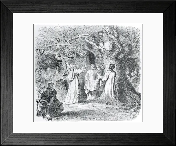 Framed Print : Illustration of Druid Throwing Mistletoe