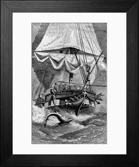 Framed Print : Crew of Charles Darwin's Ship Shark Fishing Framed Print : Crew of Charles Darwin's Ship Shark Fishing