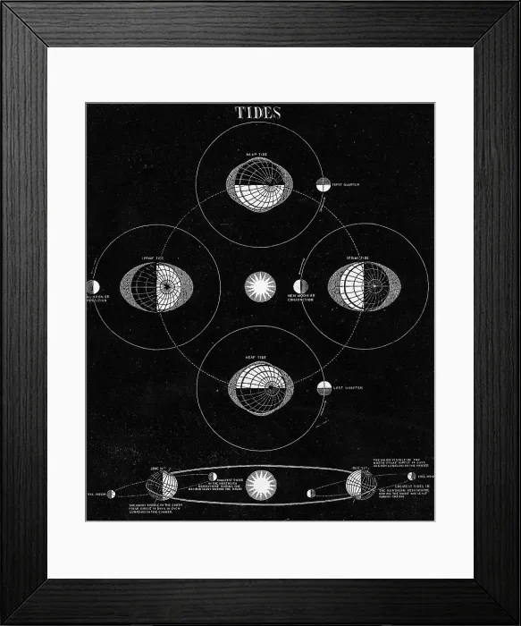Framed Print : Illus / Tides Caused By Moon Framed Print : Illus / Tides Caused By Moon