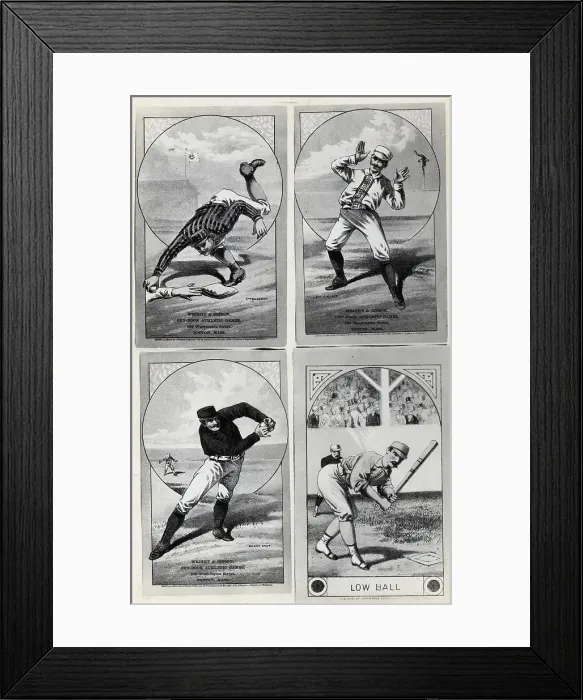 Framed Print : Cartoons On The Various Baseball Positio