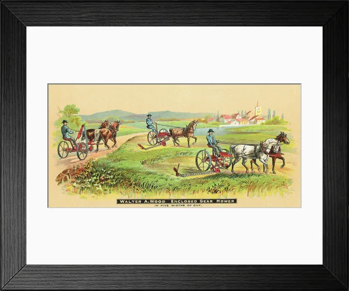 Framed Print : Illustration Of Horsedrawn Lawnmower Framed Print : Illustration Of Horsedrawn Lawnmower