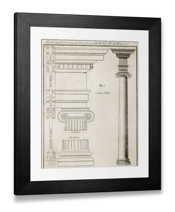 Framed Print : Illustration of Ionic Order of Columns Framed Print : Illustration of Ionic Order of Columns