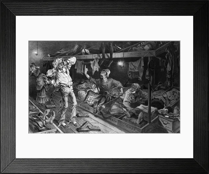 Framed Print : Cartoon Lambasting Irish Immigrants Framed Print : Cartoon Lambasting Irish Immigrants