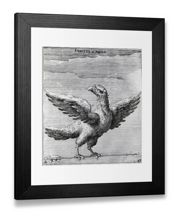 Framed Print : Constellation Sagitta & Aquila--Illus Framed Print : Constellation Sagitta & Aquila--Illus