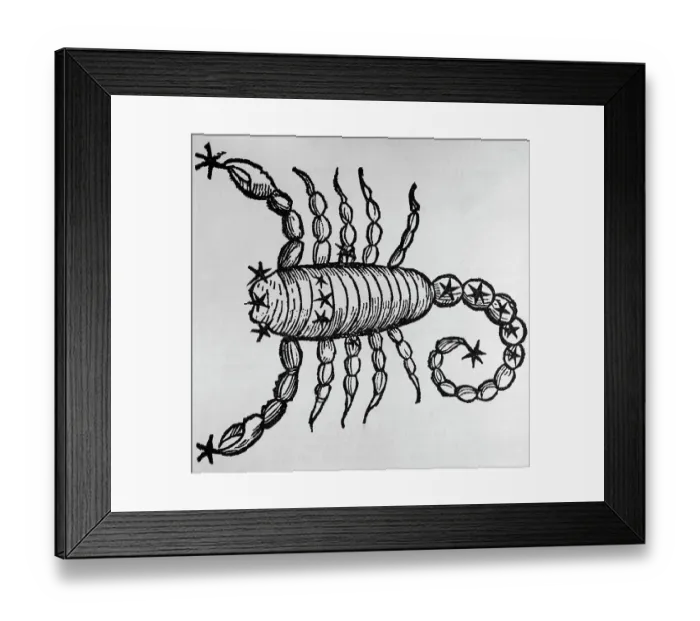 Framed Print : Zodiac Sign / Constellation For Scorpio Framed Print : Zodiac Sign / Constellation For Scorpio