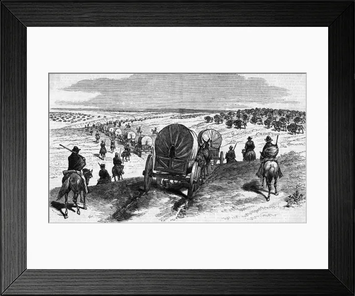 Framed Print : Wagon Trail Avoiding Buffalo Stampede Framed Print : Wagon Trail Avoiding Buffalo Stampede
