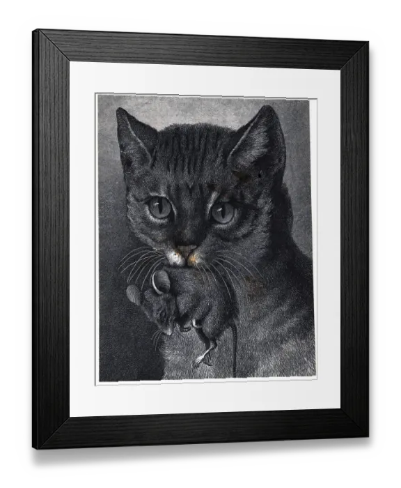 Framed Print : Closeup Of Cat Holding Dead Mouse Framed Print : Closeup Of Cat Holding Dead Mouse