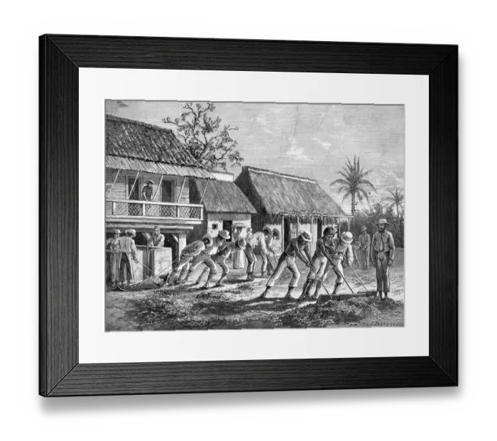 Framed Print : Illustration of Life on Coffee Plantation in Costa Rica Framed Print : Illustration of Life on Coffee Plantation in Costa Rica