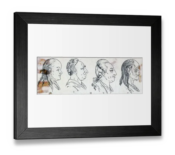 Framed Print : The Four Temperments; Phlegm, Choleric Framed Print : The Four Temperments; Phlegm, Choleric