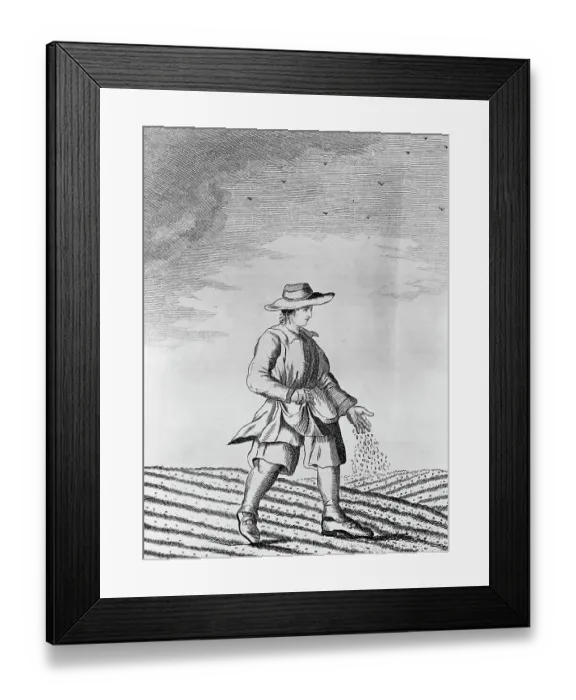 Framed Print : French Farmer Sowing Seeds Framed Print : French Farmer Sowing Seeds