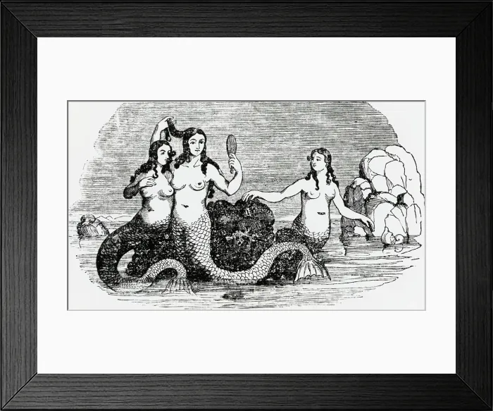 Framed Print : Trio Of Mermaids With Hand Mirror Framed Print : Trio Of Mermaids With Hand Mirror