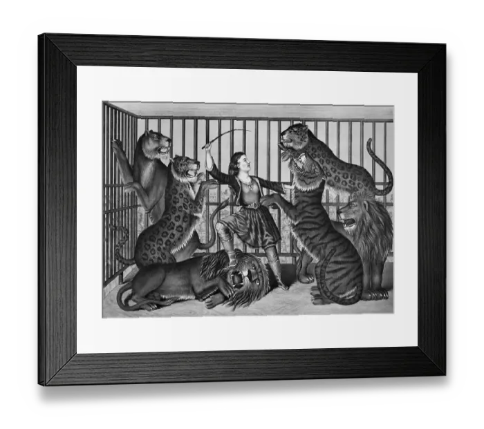 Framed Print : Woman Animal Trainer In Cage W / Wild Cats Framed Print : Woman Animal Trainer In Cage W / Wild Cats