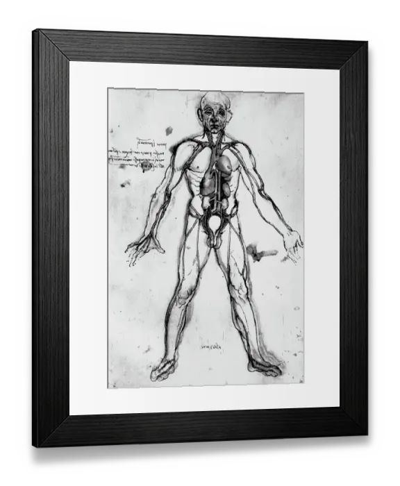 Framed Print : Drawing of an Anatomical Figure by Leonardo da Vinci Framed Print : Drawing of an Anatomical Figure by Leonardo da Vinci