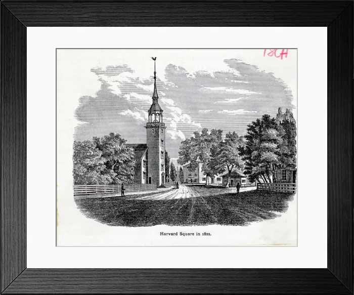 Framed Print : Bas Languedoc