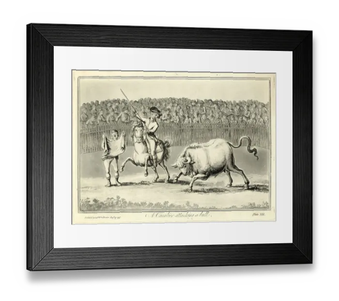 Framed Print : Illus / British Soldier in Bull Fight Framed Print : Illus / British Soldier in Bull Fight