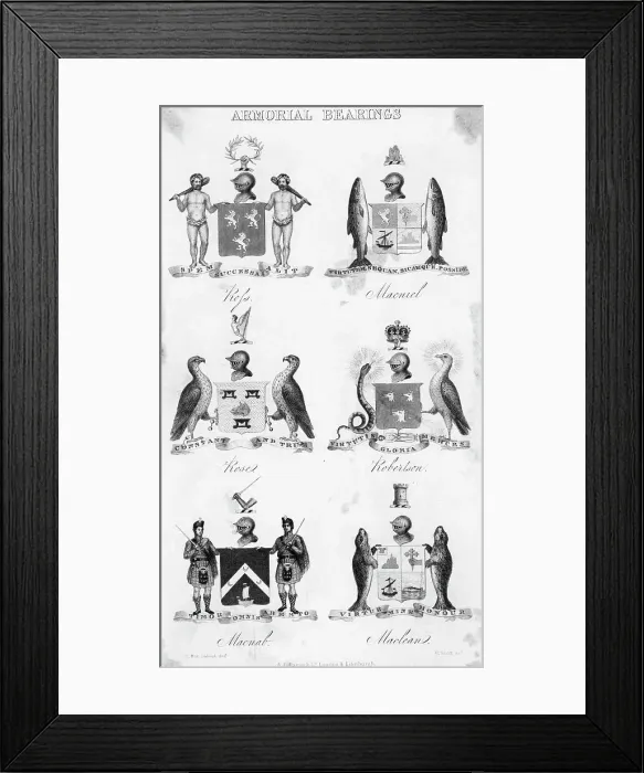 Framed Print : Illustration / Armorial Bearings Framed Print : Illustration / Armorial Bearings