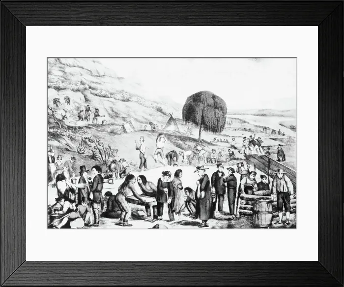 Framed Print : California Gold Diggers -- Lithograph